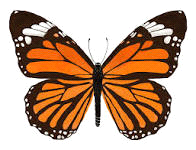 Monarca